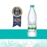 Spritzer Natural Mineral Water (1250ML X 12) - Image 7